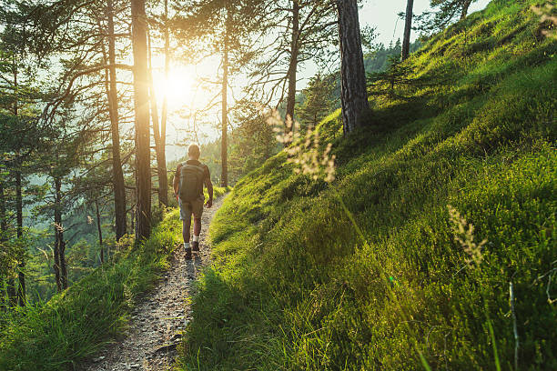 A person in hiking gear walking a trail surrounded by trees and grass