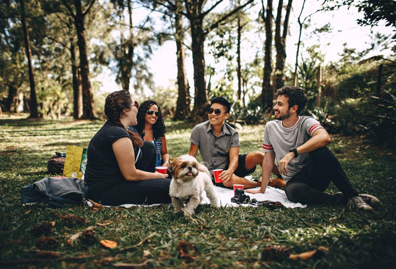 A group of four people sitting on a blanket laughing and talking, having a picnic in a park with a dog
